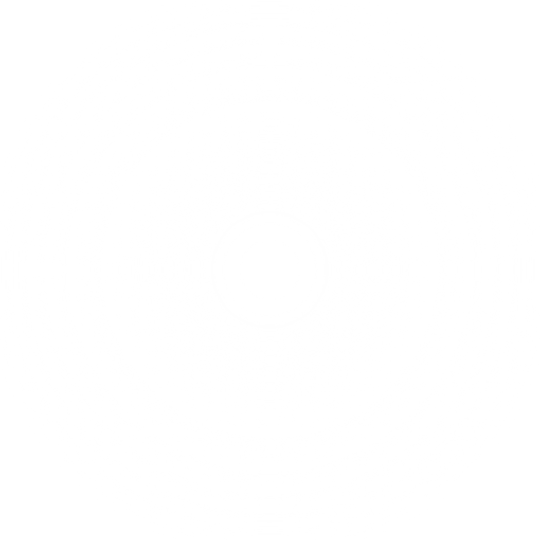 white  blur circle gradient